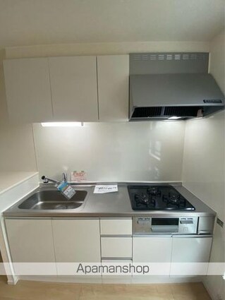 エクセラン元山[1LDK/48.65m2]のキッチン