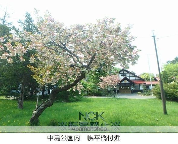 アームス中島公園の周辺写真