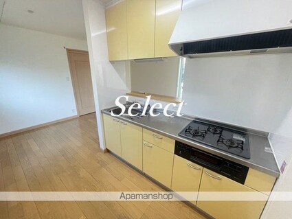 サニーワイズ[1LDK/52.99m2]のキッチン