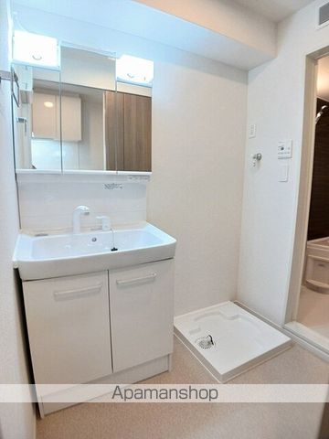 ルピナス　イースト[1K/31.21m2]の洗面所