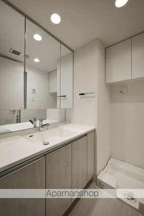 エルスタンザ文京湯島[1LDK/45.43m2]の洗面所