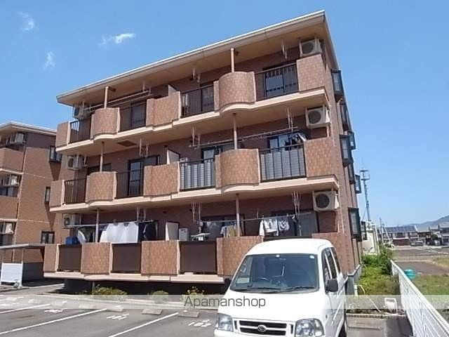 エバーグリーンA
