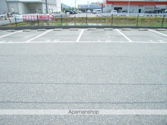 ゴールドクレストのその他写真