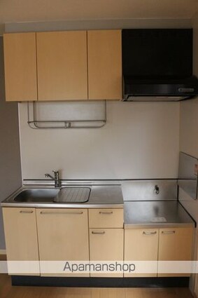 グランドメゾン平原台[2DK/47.48m2]のキッチン