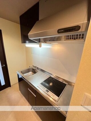 エルミナリュクス[1K/29.86m2]のキッチン