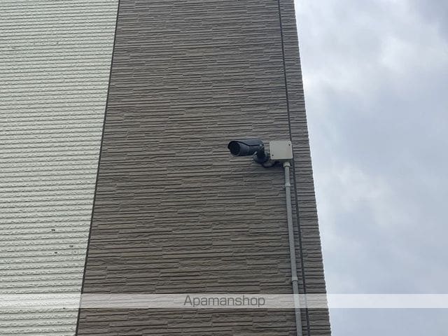 レオネクストスイートピーのその他写真