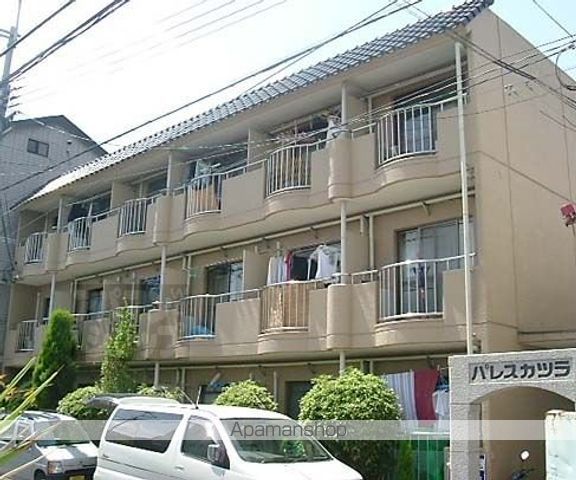パレスカツラ