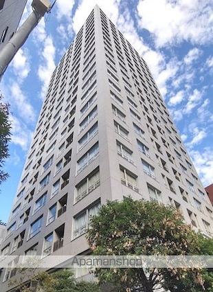レジディアタワー麻布十番[1R/43.93m2]の外観