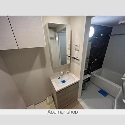 ＡＸＡＳ中野中央[1K/25.35m2]の洗面所