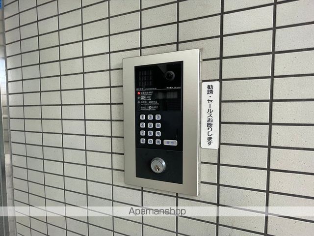 カトンテールのその他写真