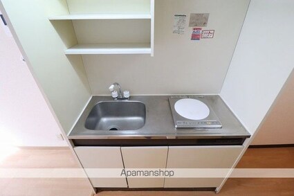 第ＩＩＩＡＩコーポ[1K/19.87m2]のキッチン2