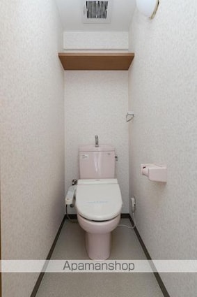 ＲＩＯ・ＰＬＡＴＩＮＯ[2LDK/60m2]のトイレ