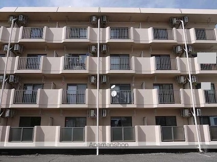 開智ハイツ　[1DK/30m2]の外観5