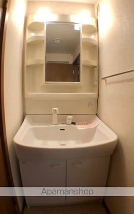 ロイヤル　ストーンⅡ[2LDK/63.87m2]の洗面所