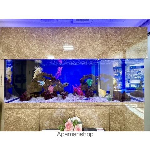 モナティス那古野の玄関写真