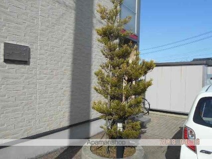 レオパレス社[1K/21.81m2]の庭