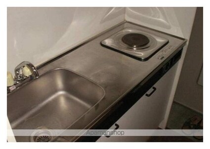 グリーンハウス[1K/21.55m2]のキッチン