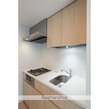 グランカーサ蒲田ウエスト[1LDK/39.4m2]のキッチン