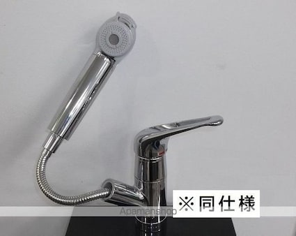 プラバーⅡ[1LDK/43.79m2]のその他内装8