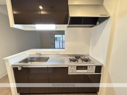 ラルウェンディ縮景園前イースト[1K/34.94m2]のキッチン