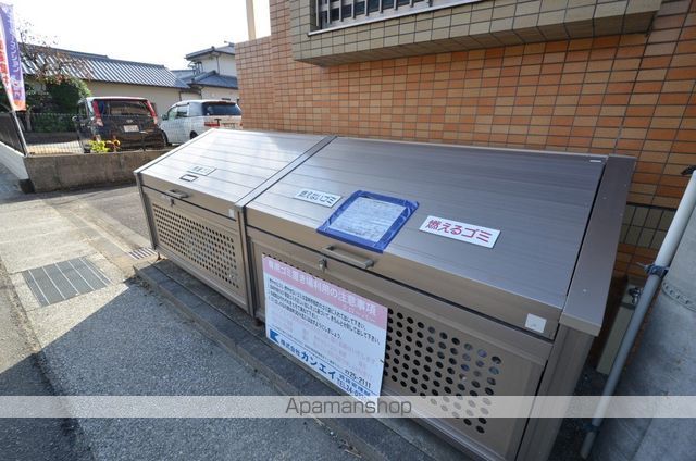 クローバーのその他写真
