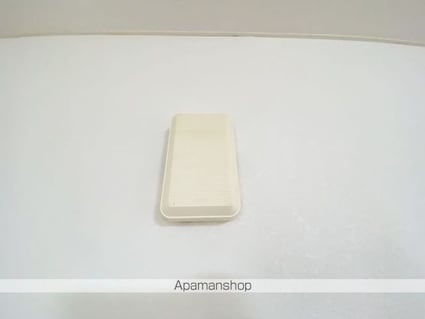 パレス大田[2LDK/53.88m2]のセキュリティ