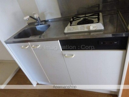 ワイズアクアーリオ[1K/24.59m2]のキッチン