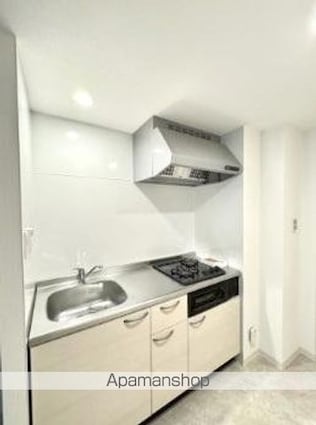 ＳーＲＥＳＩＤＥＮＣＥ中新町ａｖｅｌｉｓ[1LDK/28.81m2]のキッチン