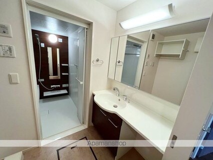 チャス　レジデンス　Ⅱ[1LDK/44.17m2]の洗面所