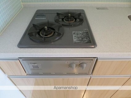 ウィルテラス奥沢[1K/25.17m2]のキッチン2