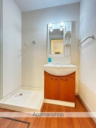 グリーンテラス[2DK/58.4m2]の洗面所