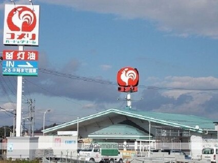 ホーリーホック　Ⅲ[1R/30m2]の周辺1