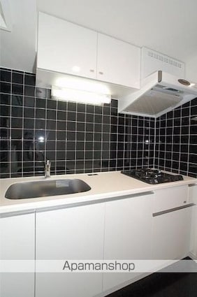 ステージグランデ神楽坂[1LDK/41.22m2]のキッチン