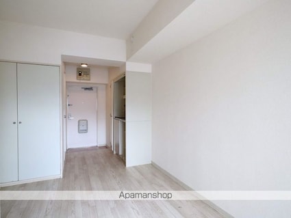 ラ・レジダンス・ド・ノーブル[1R/16.27m2]の内装3