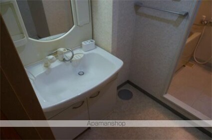 バウムドルフ[3LDK/66.36m2]の洗面所