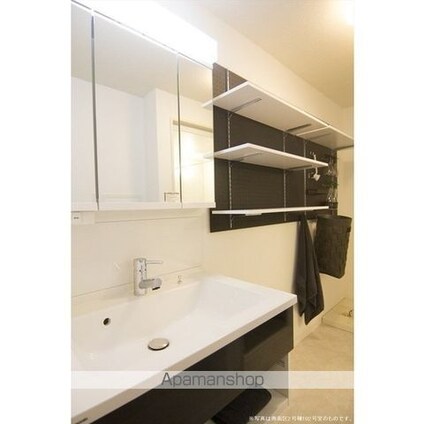 テレパレス柏てるて　南街区　２号棟[3LDK/79.76m2]の洗面所