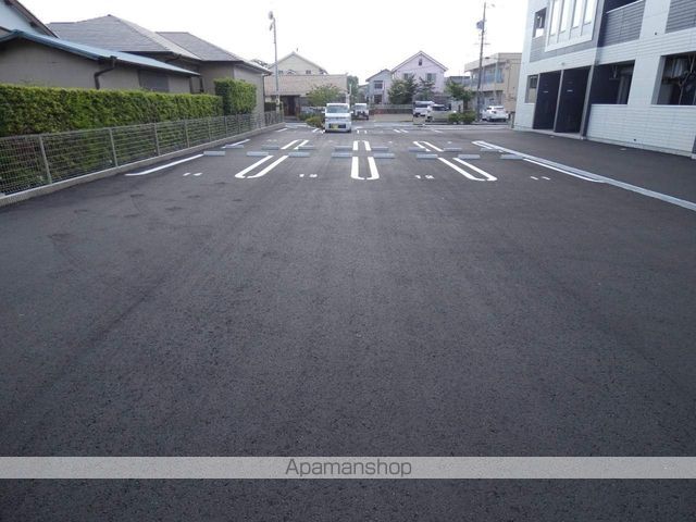 カメリアのその他写真