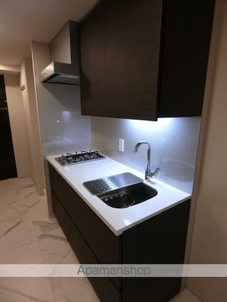 ザ・パークハビオ高円寺レジデンス[1K/25.3m2]のキッチン