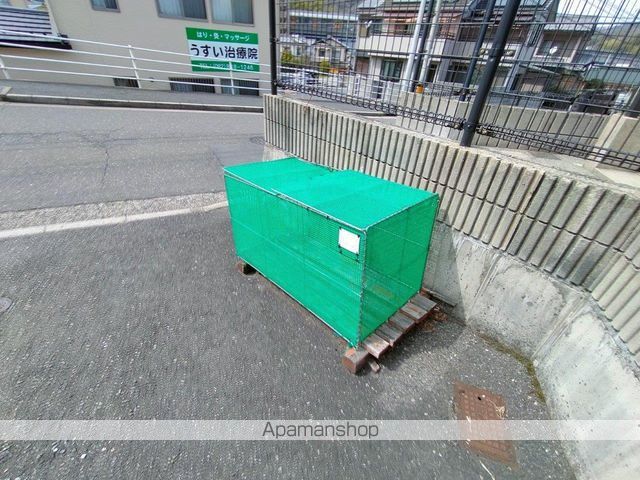 サウザンドサニーのその他写真