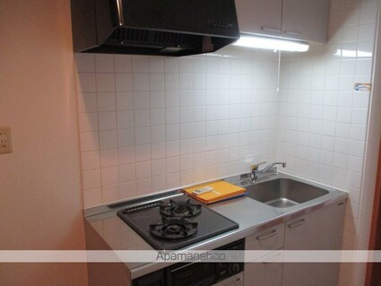 ドゥ・ベルジュール[1K/24.36m2]のキッチン