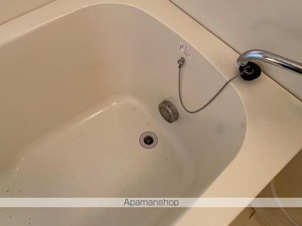 ネスティア太田[2DK/39.74m2]の内装4