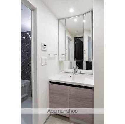 東京都新宿区百人町１丁目[2DK/37.45m2]の洗面所