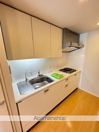 カスタリア銀座Ⅱ[1LDK/45.86m2]のキッチン