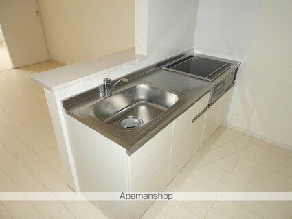 Ｒｉｓｉｎｇ　Ｓｕｎ[1LDK/45.86m2]のキッチン