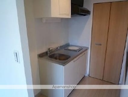 コンフォート東新宿[1LDK/44.89m2]のその他内装3