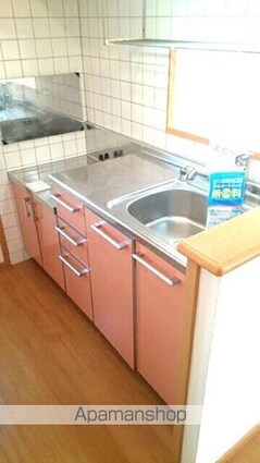 シャン・ミリューⅢ[1LDK/46.28m2]のキッチン