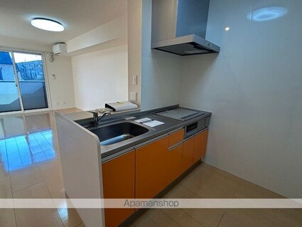 ルイティア　ＩＩ[1LDK/46.68m2]のキッチン