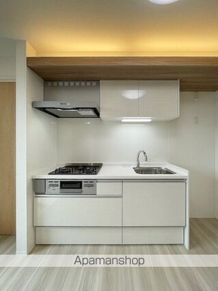 グラナーデ目白御留山[3DK/54.65m2]のキッチン