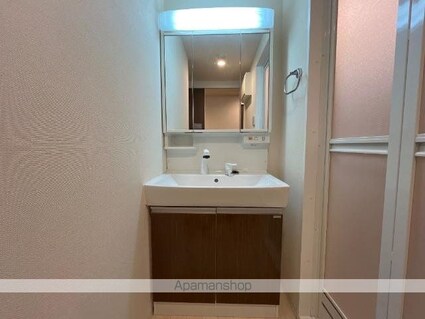 グランコスモＡ[2LDK/59.19m2]の洗面所