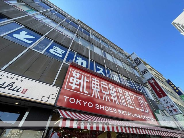 カンパニュラの周辺写真